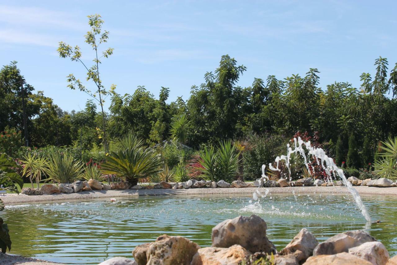 Country house Casa Da Alzira Anadia